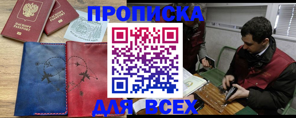 прописка в Купино